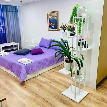 Daire 21 Varna